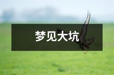 <h3>梦见大坑