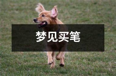 <h3>梦见买笔