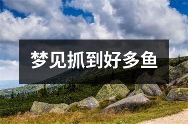 <h3>梦见抓到好多鱼