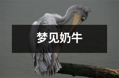 梦见奶牛