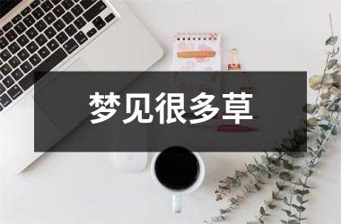 <h3>梦见很多草