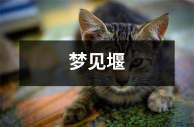梦见堰