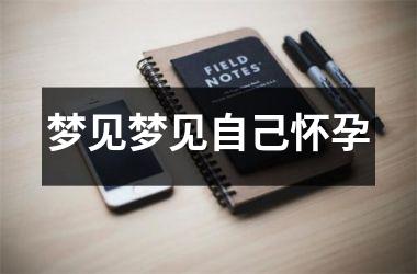 <h3>梦见梦见自己怀孕