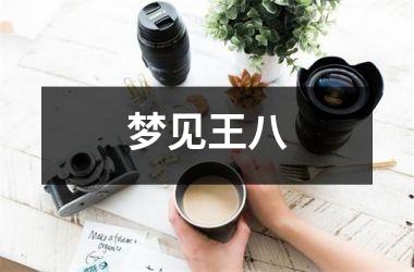 <h3>梦见王八