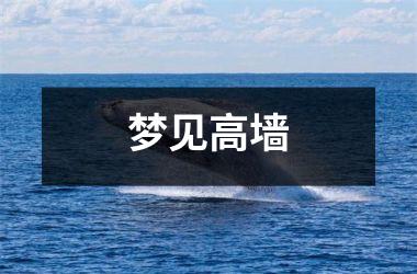 <h3>梦见高墙