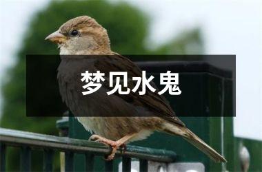 <h3>梦见水鬼