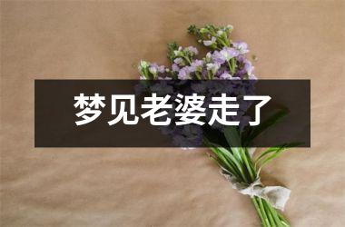 <h3>梦见老婆走了