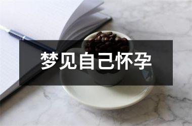 <h3>梦见自己怀孕