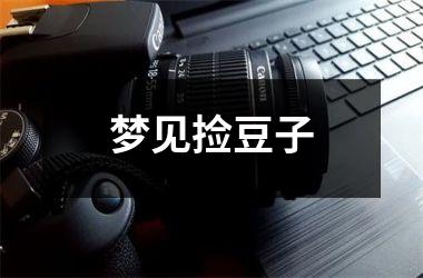 <h3>梦见捡豆子