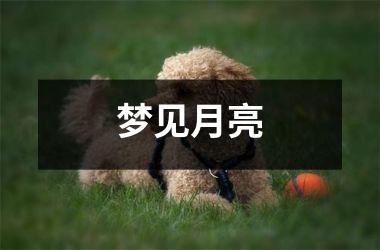 <h3>梦见月亮