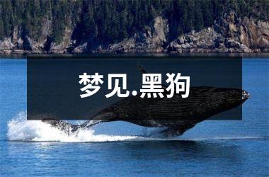 梦见.黑狗