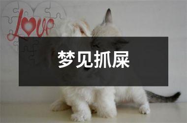 <h3>梦见抓屎