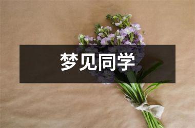 <h3>梦见同学