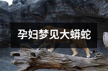 <h3>孕妇梦见大蟒蛇