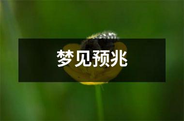 <h3>梦见预兆