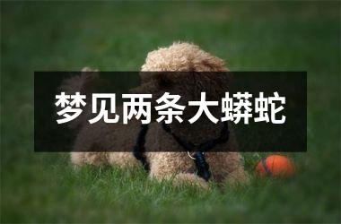 <h3>梦见两条大蟒蛇