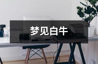 <h3>梦见白牛