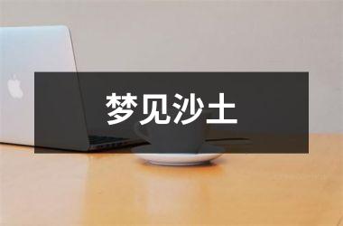 <h3>梦见沙土