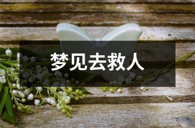 <h3>梦见去救人
