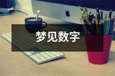 <h3>梦见数字