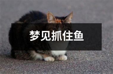 <h3>梦见抓住鱼
