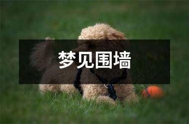 <h3>梦见围墙