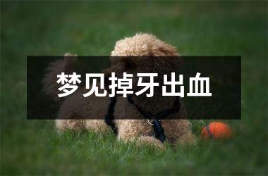 <h3>梦见掉牙出血