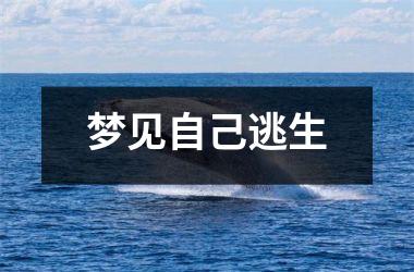 <h3>梦见自己逃生
