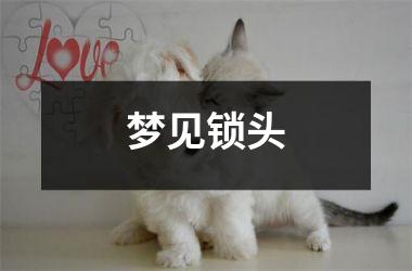 <h3>梦见锁头