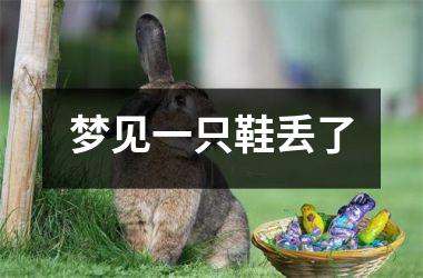 <h3>梦见一只鞋丢了
