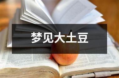 <h3>梦见大土豆