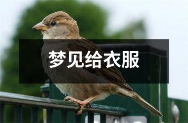 <h3>梦见给衣服