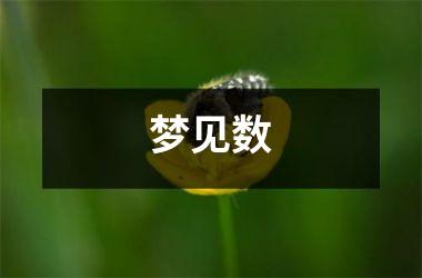 <h3>梦见数