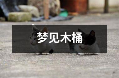 <h3>梦见木桶