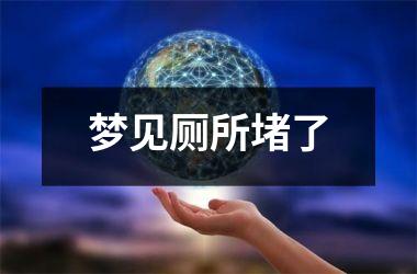 <h3>梦见厕所堵了