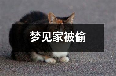 梦见家被偷