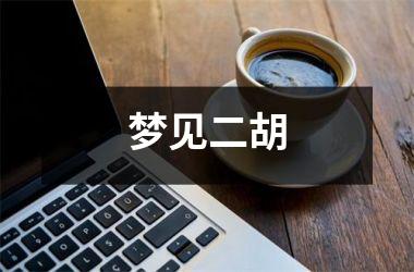 <h3>梦见二胡