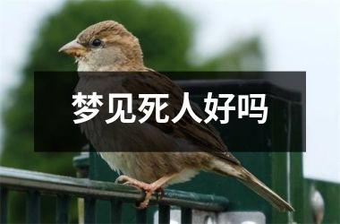 <h3>梦见死人好吗