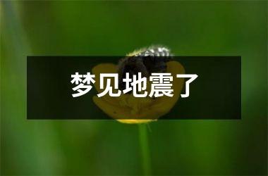 <h3>梦见地震了