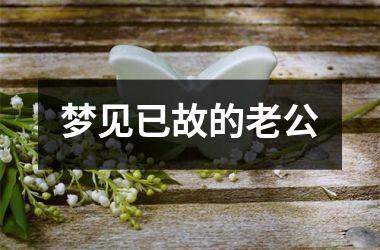 梦见已故的老公