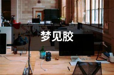 <h3>梦见胶