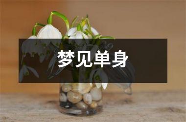 <h3>梦见单身