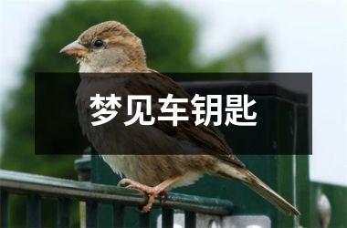 <h3>梦见车钥匙