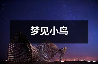 <h3>梦见小鸟