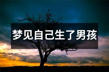 <h3>梦见自己生了男孩