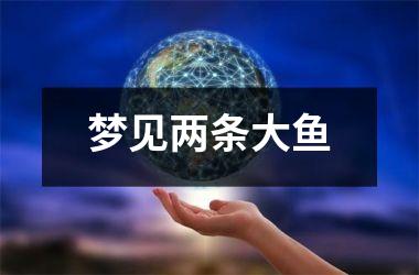 <h3>梦见两条大鱼