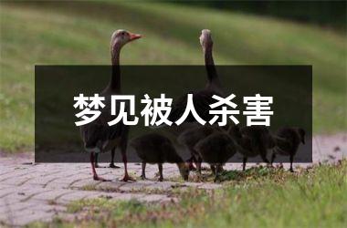 <h3>梦见被人杀害