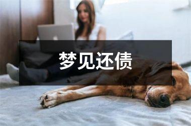 <h3>梦见还债
