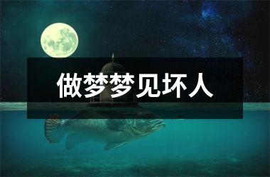 <h3>做梦梦见坏人