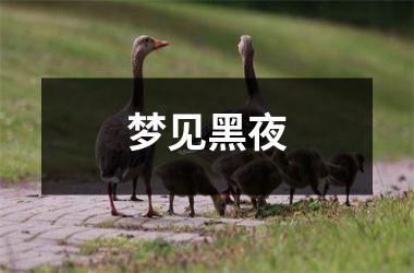 <h3>梦见黑夜